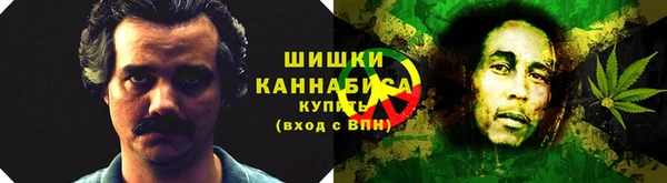 прущие грибы Абаза