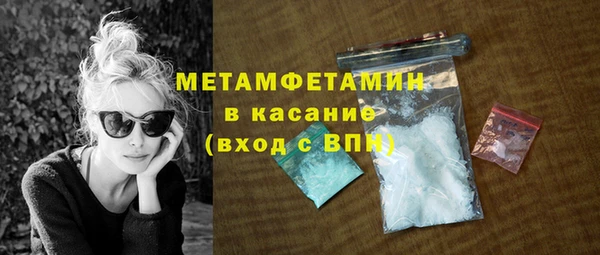 прущие грибы Абаза