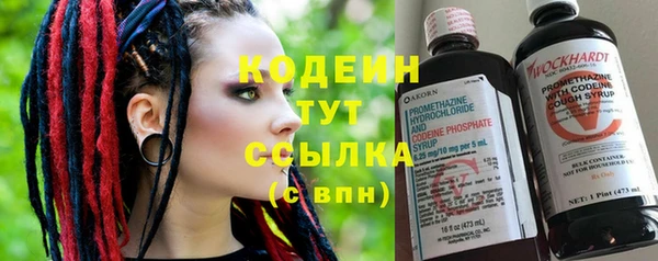 прущие грибы Абинск
