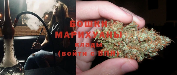 прущие грибы Абинск