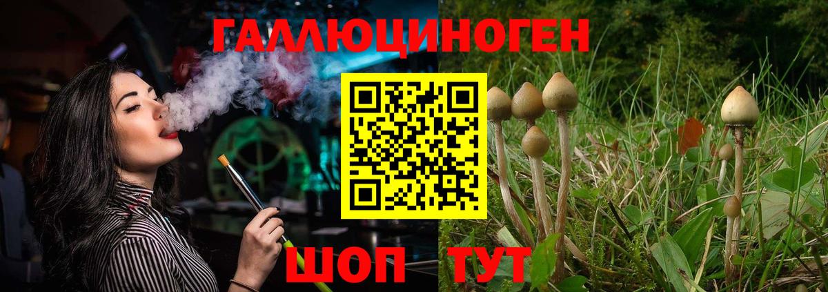 Галлюциногенные грибы Cubensis Мирный