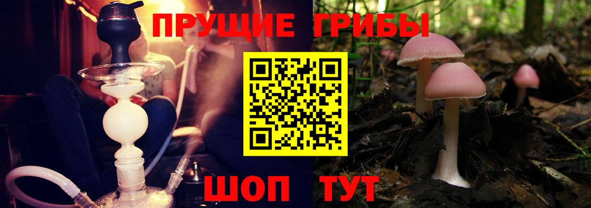 Галлюциногенные грибы Cubensis  Вход с VPN  Мирный  Галлюциногенные грибы мицелий 